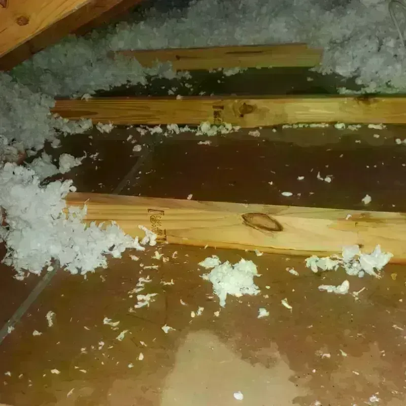 Attic Water Damage in Edgewood, TX