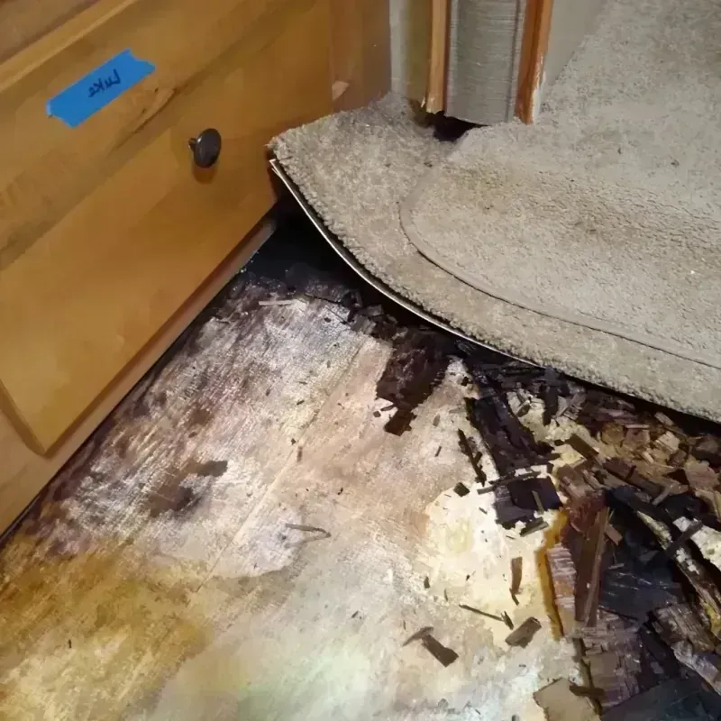 Best Wood Floor Water Damage Service in Edgewood, TX